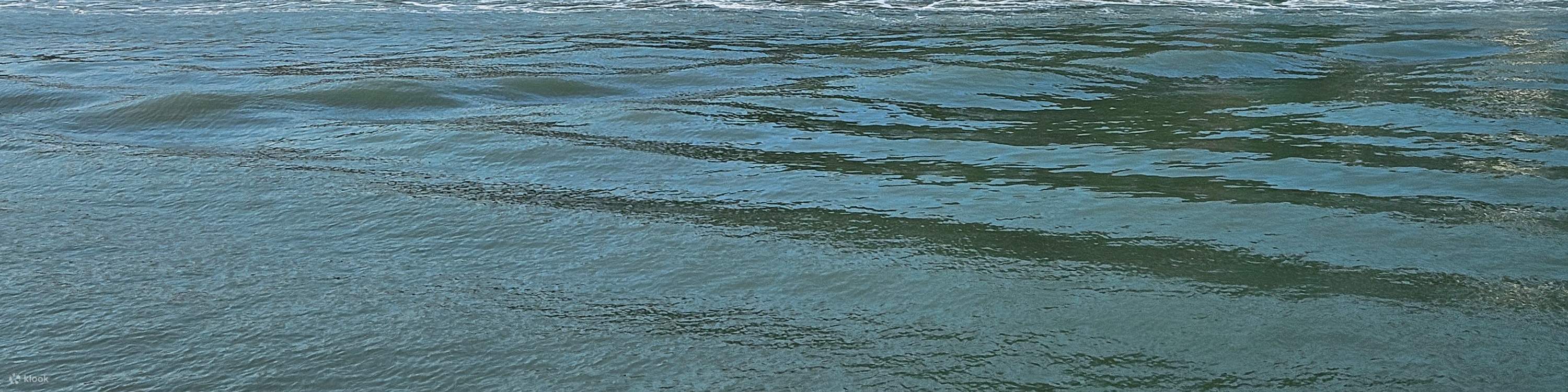 Tai O Besichtigungsticket für Boote